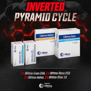 Inverted Pyramid Steroids Cycle