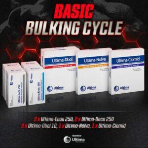 Basic Steroid Bulking Cycle