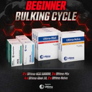 Beginner Steroids Bulking Cycle