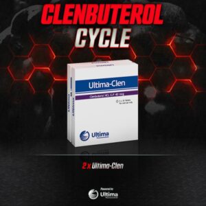 Clenbuterol 10 weeks Cycle