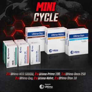 Mini Steroids Cycle