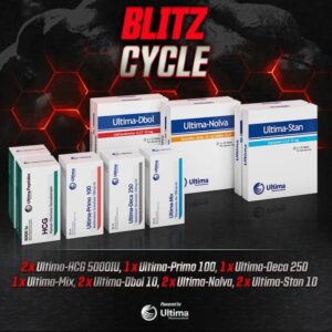 Blitz Steroids Cycle
